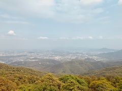 -东莞市大岭山森林公园
