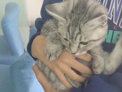 -宠颐生·恒爱宠物医院(静海店)