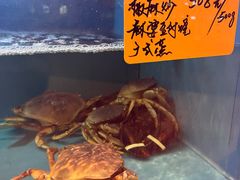 -余姚阳明温泉山庄