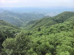 -莫干山风景区