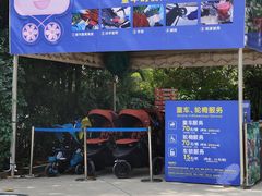 -广州长隆飞鸟乐园