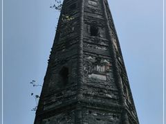 -上海佘山国家森林公园天马山园