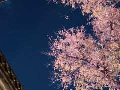 -红花点心局(护国寺店)