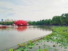 -洛阳市隋唐城遗址植物园