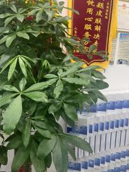 -资医堂·除疤祛痘祛斑
