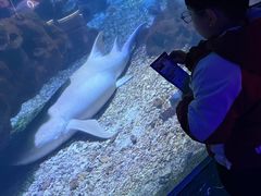 -海合安武汉极地海洋公园