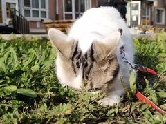 -哈尔滨师范大学(松北校区)