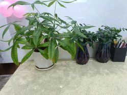 -痘院长·祛痘·科技美肤