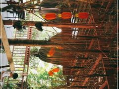 -万兴启丰椰子文化园餐厅