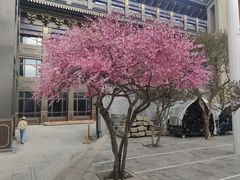 -东关清真大寺
