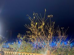 -寨子里的钵钵菜·湘西山里菜(魅力湘西店)