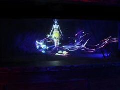 -贝壳梦幻世界