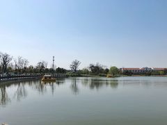 -上海长兴岛郊野公园