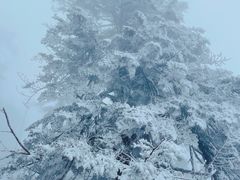 -瓦屋山景区