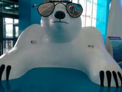 -泉城欧乐堡海洋极地世界