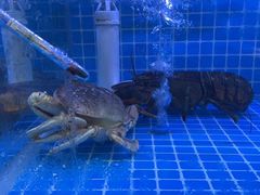 -伙靠·江浙菜(田林路店)