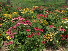 -汉长安城未央宫国家考古遗址公园