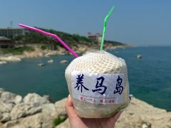 -养马岛旅游度假区