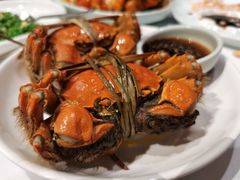 大闸蟹-老阊门菜馆(山塘街店)