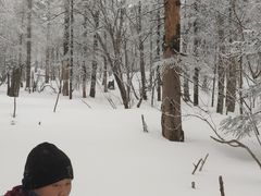 -雪谷