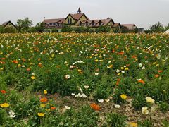 -歌斐颂巧克力小镇