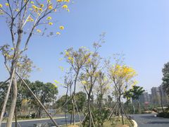 -琅岐红光湖公园