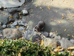 -上海野生动物园