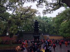 iphone_upload_pic-普陀山风景名胜区-法雨禅寺