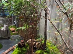 -森SPA·泰式按摩·精油Massage(宝安中心店)