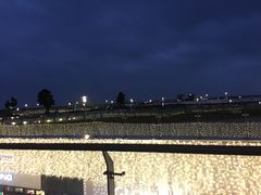 -野狸岛