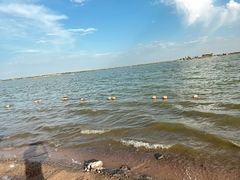 -包头南海湿地景区