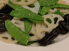 芒果时蔬-紫光园·烤鸭·北京菜(劲松店)