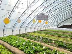 -安德鲁户外烧烤帐篷营地(马泉营店)