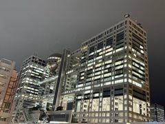 -台场海滨公园船码头