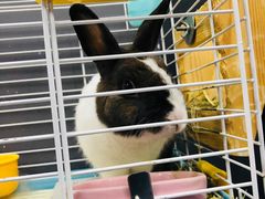 -UltraForce超源健身私教工作室(长楹天街精品店)