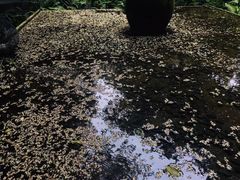 -王家渡火锅(三苏祠店)