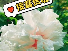 -太阳宫公园