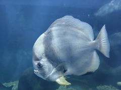 -上海长江河口科技馆