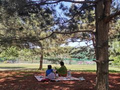 -朝阳公园游乐园