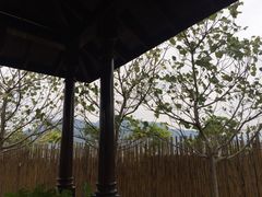 -广州都喜泰丽温泉度假酒店