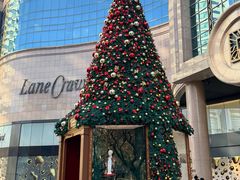 -竹屋川菜(时代广场店)