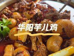 -佘记全家福芋儿鸡(向阳街总店)