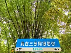 -王家渡火锅(三苏祠店)