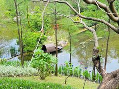 -云溪植物园