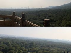 -灵谷景区