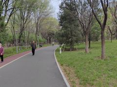 -望湖公园
