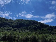 -白草畔自然风景区