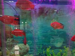 -雅悦齿科(顾村公园店)