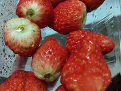 -百果园PAGODA(中铭豪园店)