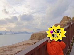 -星海湾跨海大桥